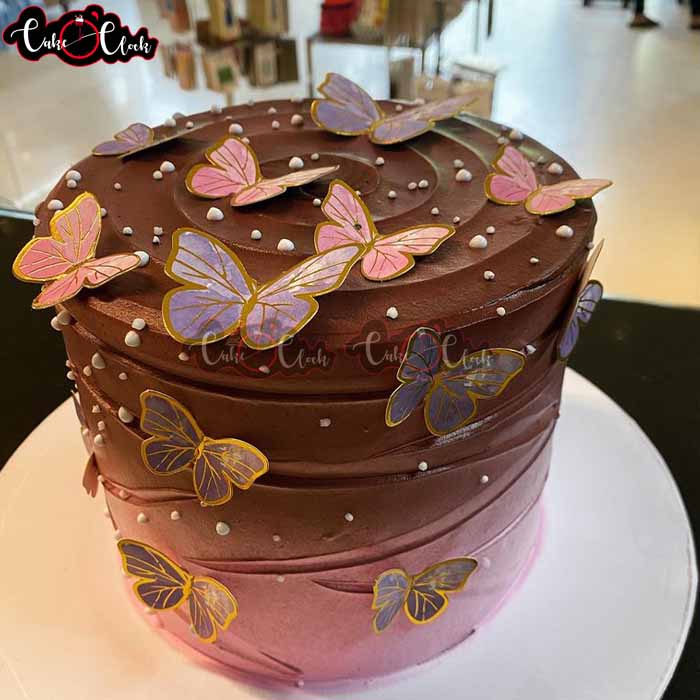 Decent Butterfly Cake