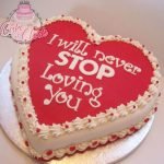 i will never stop loving you