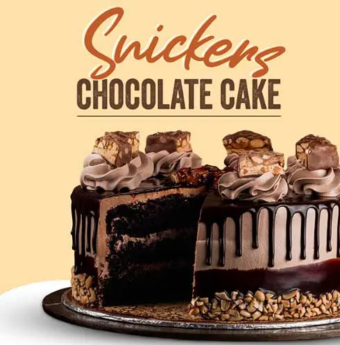 bread-and-beyond-cake-sniker